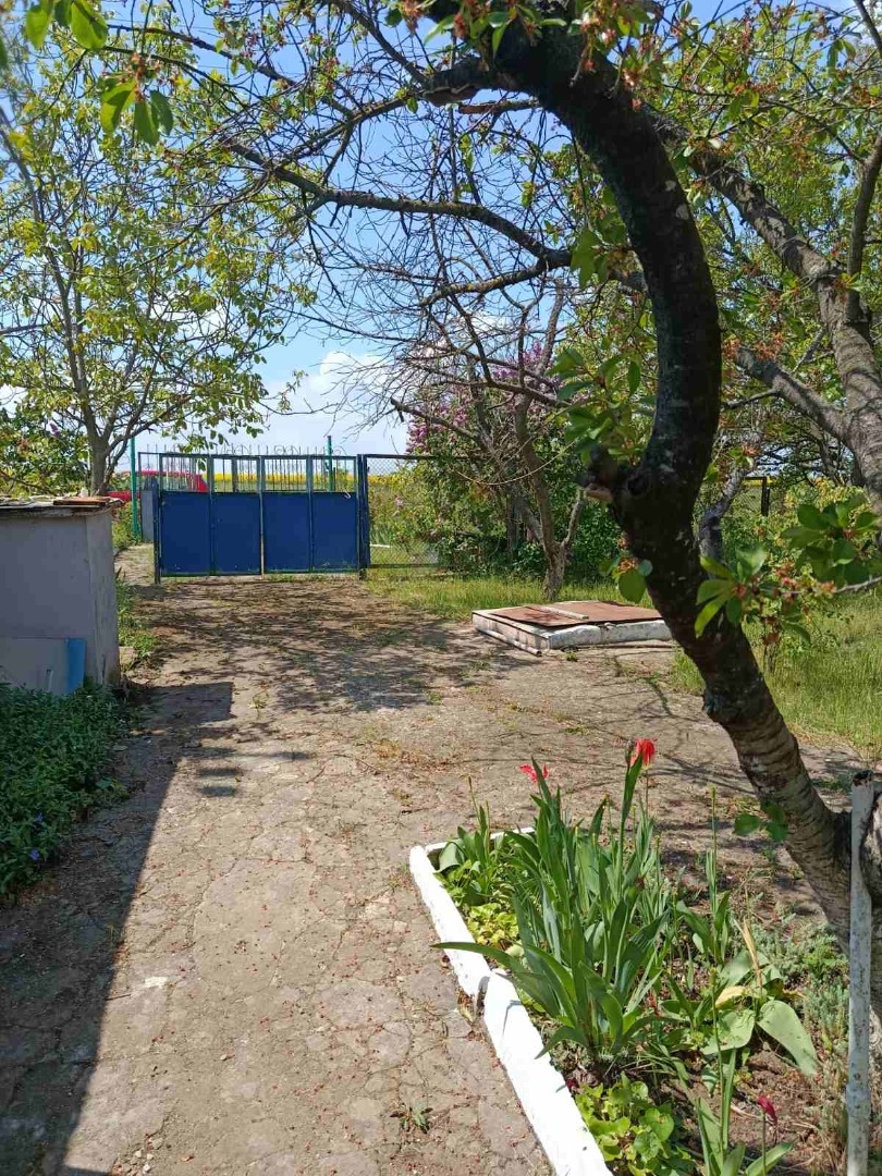 продажа дома номер H-174807 в Светлом, фото номер 13